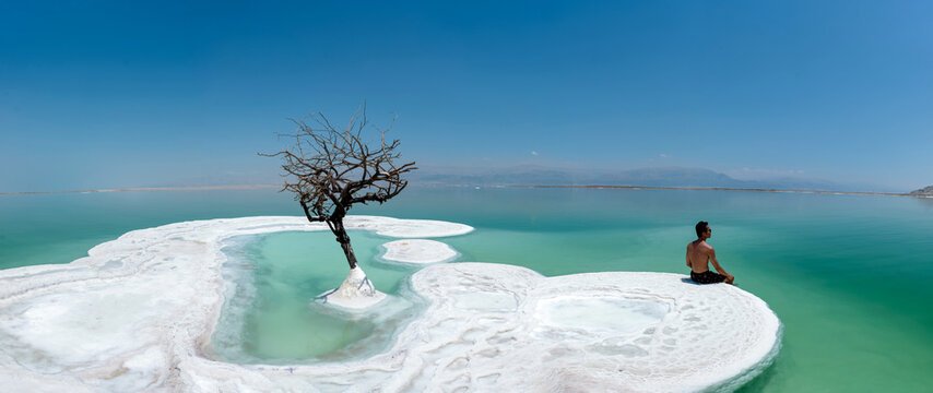 A Man And A Lonely Tree On Salt Island In Dead Sea, Israel.