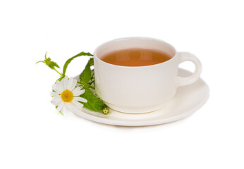 Obraz na płótnie Canvas herbal chamomile tea in white porcelain cup on white background