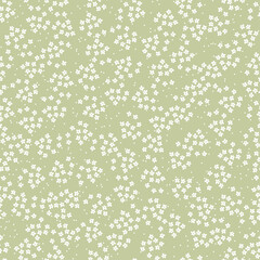 Seamless pattern with white flowers and green background