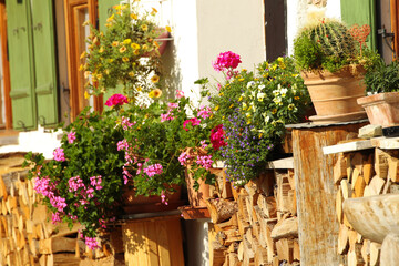 Fototapeta na wymiar flowers on the porch