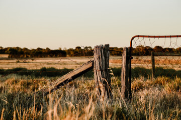 Beautiful rustic farm gate in the country set in dry field during times of drought - obrazy, fototapety, plakaty