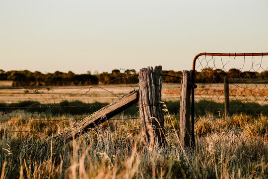 Beautiful rustic farm gate in the country set in dry field during times of drought