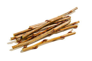 cut currant twigs close-up on a white background