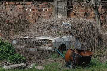Abandoned retro car GAZ 24-12 overgrown with weeds