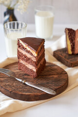Chocolate cake on white background. Side view