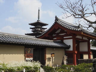 梅の木と奈良　薬師寺南門と東塔