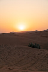 Landscape of desert dunes at sunset - 428733642