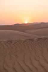 Landscape of desert dunes at sunset - 428733855