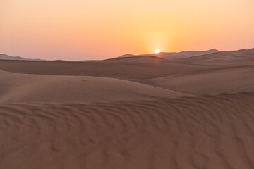 Landscape of desert dunes at sunset - 428733892