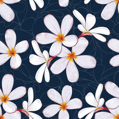 Seamless pattern floral with Frangipani flowers dark blue abstract background.Vector illustration hand drawn line art.fabric textile print design