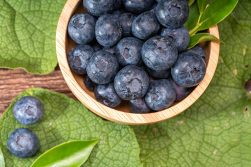 Fresh Blueberries on wooden tray with green leaves background.