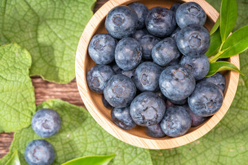 Fresh Blueberries on wooden tray with green leaves background.