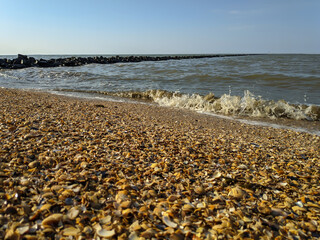 Muschelstrand an der Nordseeküste in Niedersachsen 