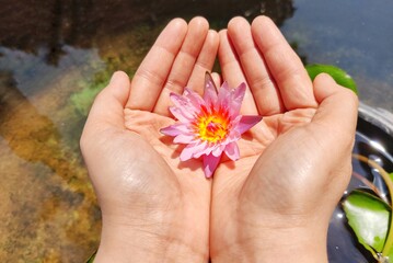 Hands with flower