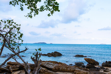 background texture nature the beach have stone at island in summer season