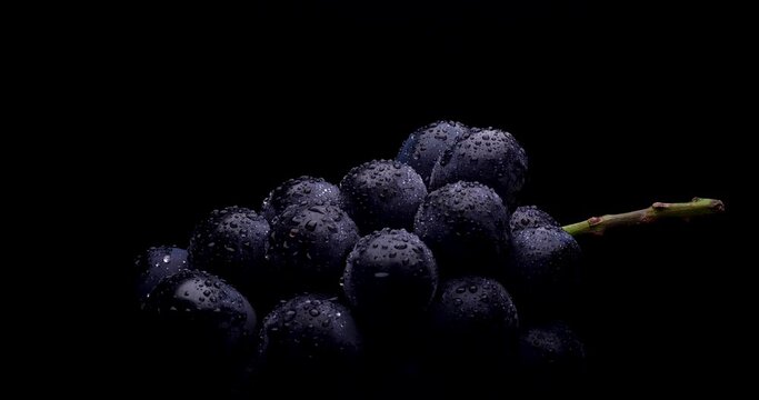 大粒のブドウを黒背景で回転させた動画(ナガノパープルという品種)