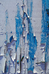 Background texture. Surface with blue and white old cracked paint. Vertical