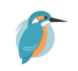 Vector flat kingfesher on white background
