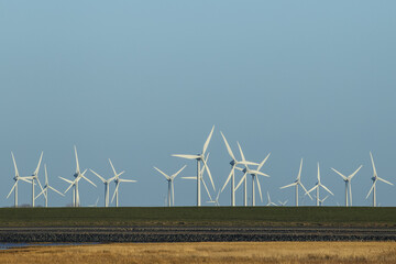 wind turbines in the field