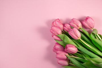 Pink tulips flowers on pink background. Card for Mothers day, 8 March, Happy Easter, Valentines Day, Birthday. Waiting for spring. Greeting card. Flat lay, top view, Copy space for text