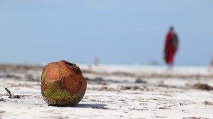 Kokosnuss an einem leeren Strand in Kenia 
