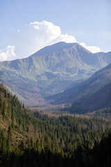 Naklejka premium A view of the Tatra mountains in the summer