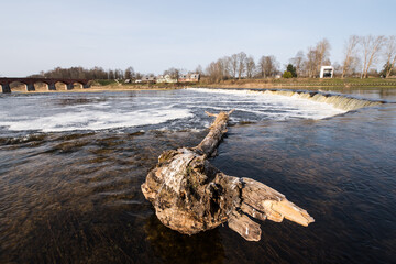 Venta Rapid waterfall, the widest waterfall in Europe with a tree trunk. Kuldiga, Latvia.