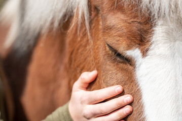 Mensch & Pferd © Petra Fischer
