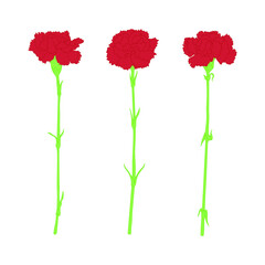 Carnation flower illustrations set.