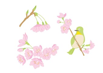 桜のイラストセット