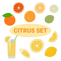Summer collection of vector citrus fruits - lemon, orange, lime, grapefruit. In slices, juice.