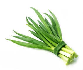 Fresh green onion isolated on white background. Fresh herbs. Fresh herbs. Condiments. Vitamins.