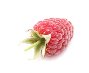 One raspberry with a green tail isolated on a white background. Macro.
