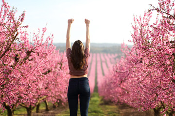 Back view of an excited woman celebrating spring in a field