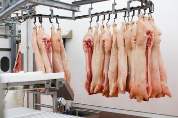 Chopped fresh raw pork meat hanging and arranged in row, in processing deposit in a refrigerator, in a meat factory. Horizontal view.