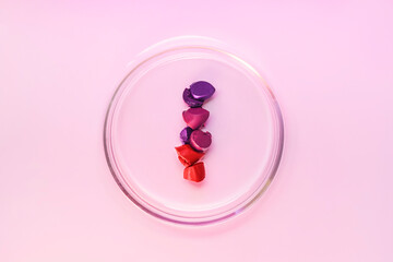Petri bowl with red burgundy and purple lipstick texture. On a light purple background. View from...