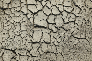 drought texture