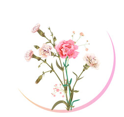 Round Mother's Day, Victory Day card with carnation: red, pink, flowers, twigs gypsophile, white background. Templates for design, vintage botanical illustration in watercolor style, vector