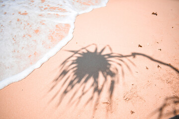 Palm Tree Shadow On White Sand Stock Photo