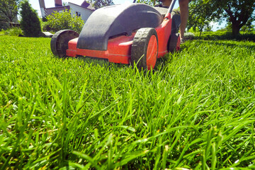 Lawn mower cutting green grass 
