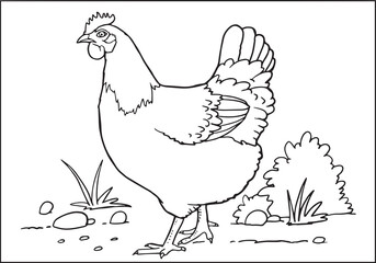 Fototapeta na wymiar Chicken sketch on white background