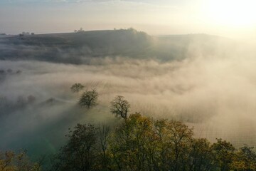 paysage dans la brume 