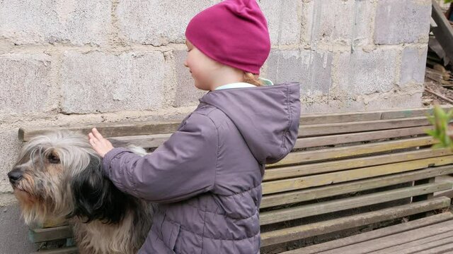Young girl combing big fluffy dog. Care for long fur animals. Combs for pets. Love supportng caring puppy adoption concept. Polish Lowland Sheepdog sits on wooden bench.Street homeless mongrel shelter