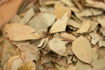 Bay leaf. Spices are solding in outdoor market, Sicily, Italy