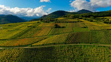 Vignoble alsacien en automne