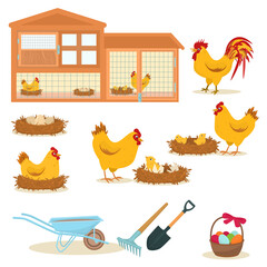vector set of illustrations on the theme of chickens on a farm isolated on a white background © NataSao