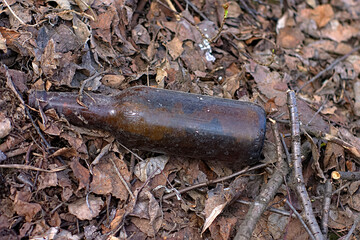 an old beer bottle in last year's foliage