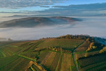 ©stadler-grand-est-illustrations