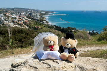 Bride and groom teddy bears on mountain with panoramic view