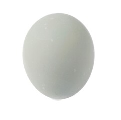salted egg on white background